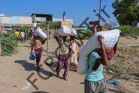 فائو: قیمت جهانی مواد غذایی برای پنجمین ماه متوالی کاهش می یابد |