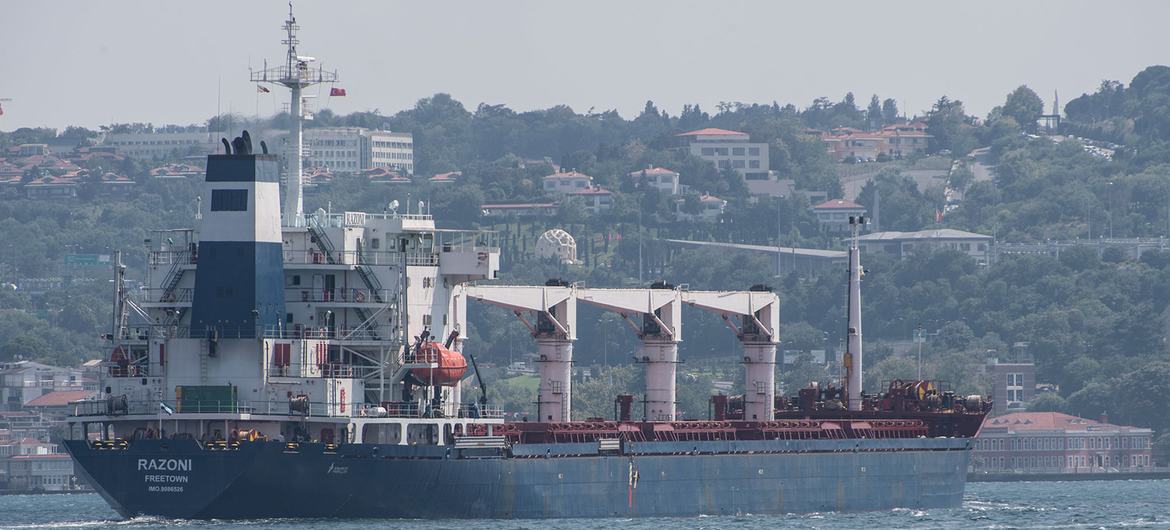 اولین محموله بیش از 26000 تنی غذای اوکراینی تحت قرارداد صادرات دریای سیاه ترخیص شد تا به مقصد نهایی خود در لبنان ادامه دهد.